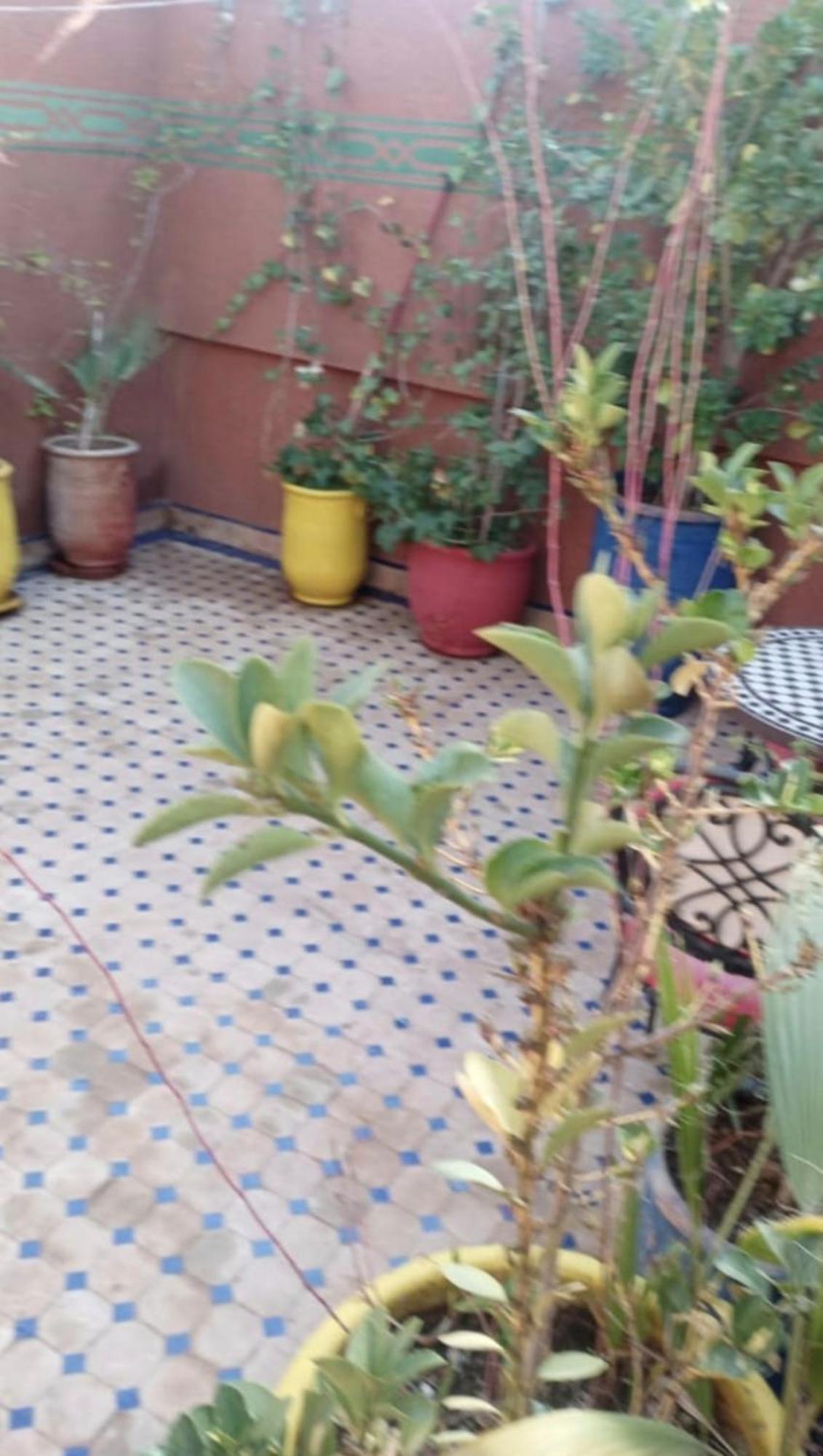 Charmant Riad Au Coeur De Marrakech Marrakesh Exteriör bild